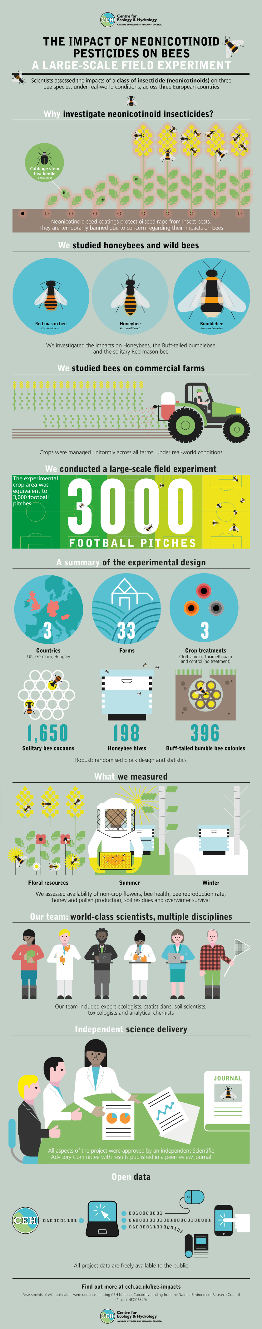 infographic large-scale field experiment impacts of neonicotinoids on bees