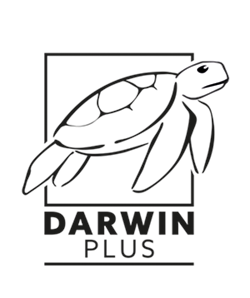 Illustration of turtle and the words Darwin Plus