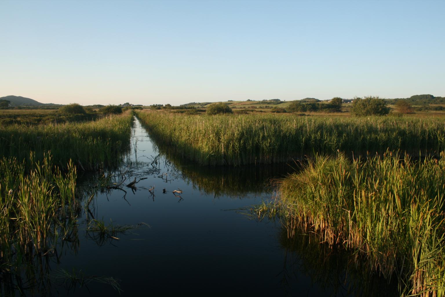 A natural fen at Cors Erddreiniog Nature Reserve, Anglesey    Picture: Chris Evans