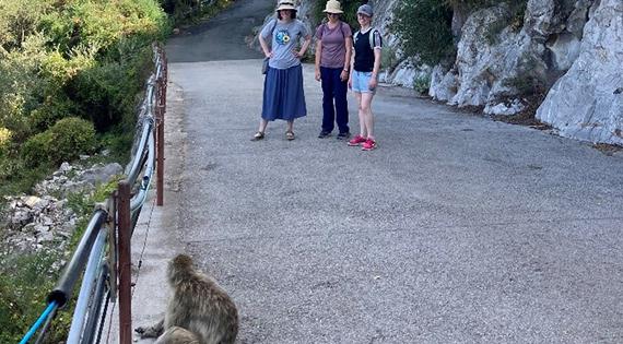 Encountering a Barbary macaque on in the Gilbraltar Nature Reserve