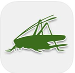 iRecord Grasshoppers app icon