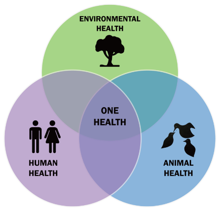 Illustration of One Health concept