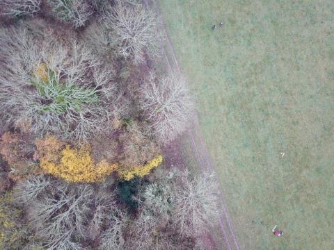 Aerial drone photograph showing divide between woodland and grassland
