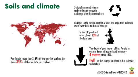 Soils and Climate Infographic for International Year of Soils