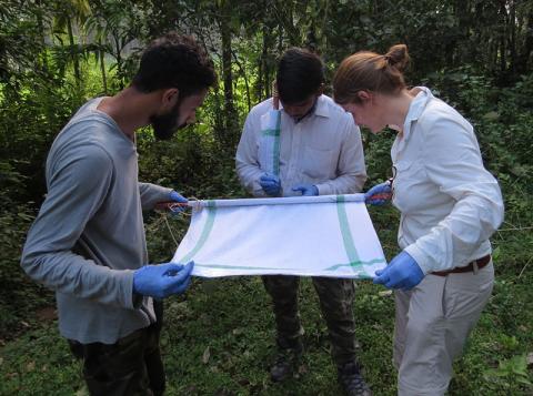 Examining a cloth used in fieldwork