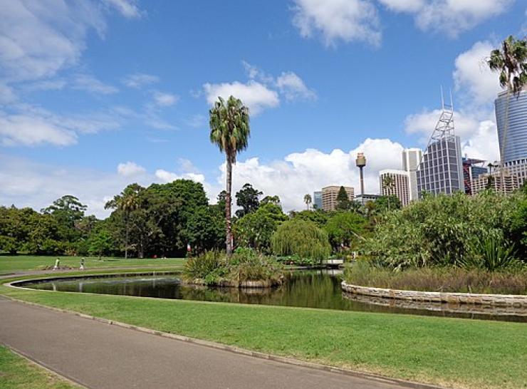 Royal Botanic Gardens, Sydney. Photo: Superchilum CC-BY-SA 4.0