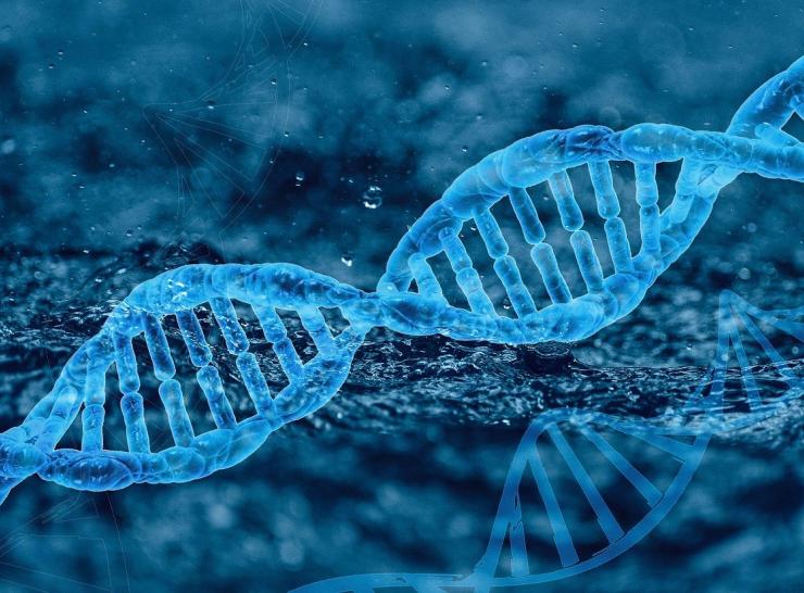 DNA strands. Photo: Pixabay