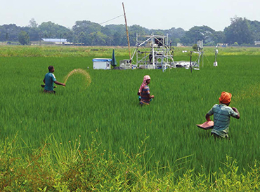 UN Member States pledge action to tackle nitrogen waste | UK Centre for Ecology & Hydrology - Vimarsana News