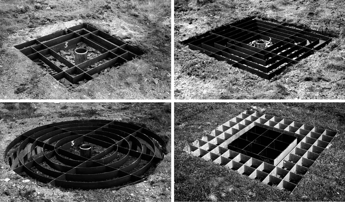 Four ground-level rain gauge designs with different size and shape grids