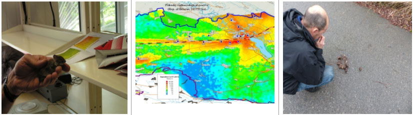 1. Bank vole fitted with TLD 2. Cs deposition in the CEZ (Chornobyl Center) 3. Inspecting wolf faeces in the CEZ