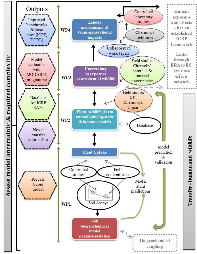 The TREE project. Inter-linkages and outputs