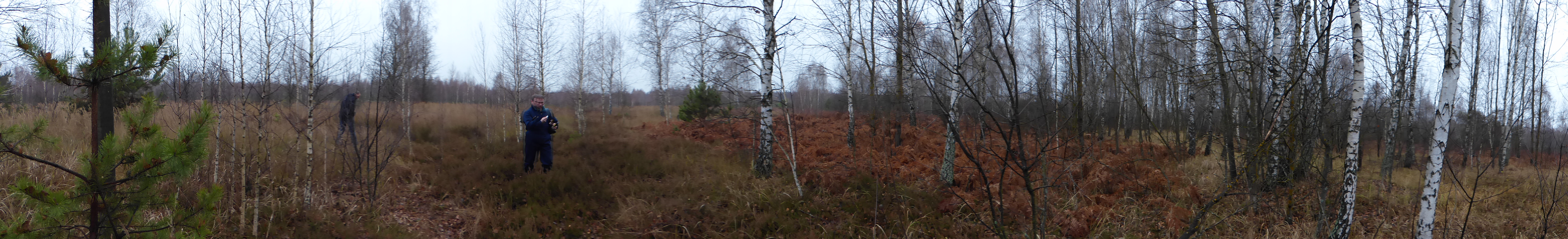 Chernobyl sampling site located on the edge of the 'Red Forest' (Photo credit: Nick Beresford)