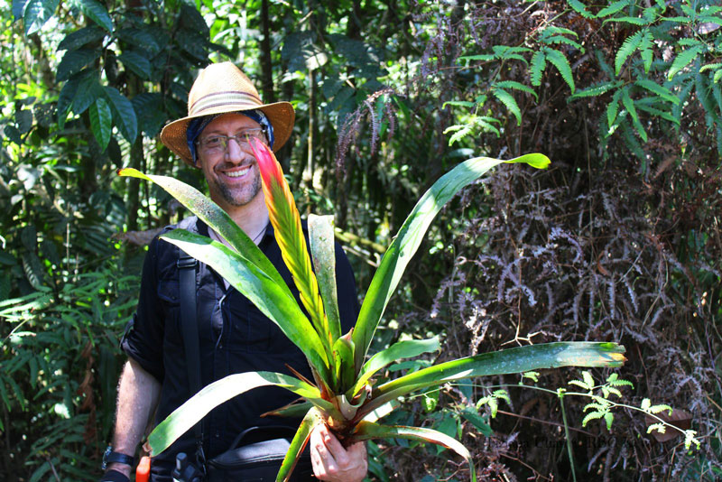 Paraguas man with large plant