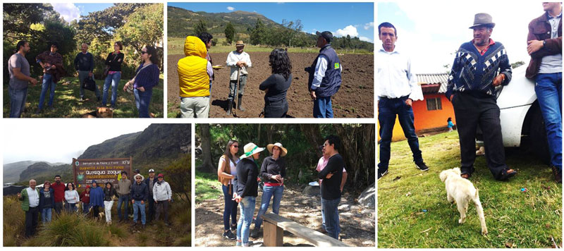 Groups of people in different locations in the páramo