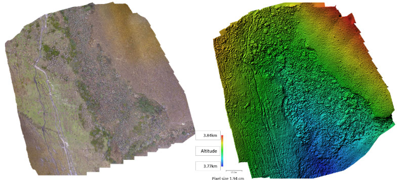An example of an orthomosaic and DSM (Digital Surface Model) constructed from drone collected images.