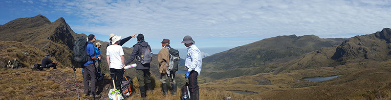 People standing in the páramo