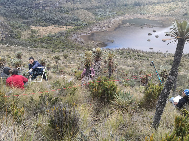 Students undertaking quadrat based fieldwork