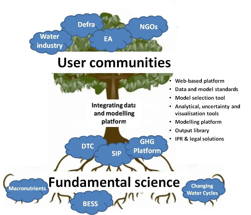 CaMMP Tree diagram