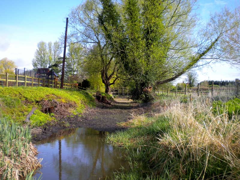 The River Pang at Frilsham, April 2012