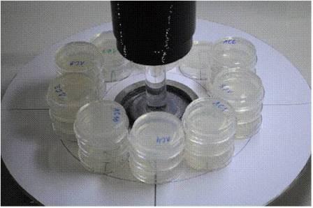 Photo shows pilot study on C. elegans (nematodes) with experimental units around the liquid irradiation source. (J.M. Bonzom, IRSN)