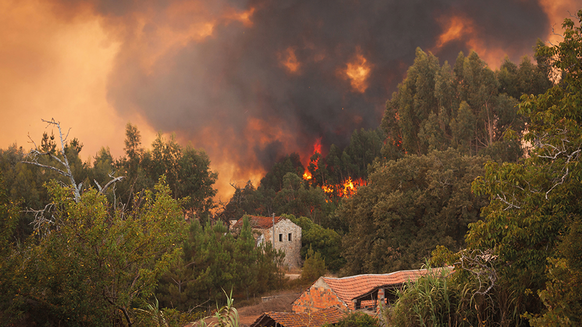 Scientists at the UK Centre for Ecology & Hydrology and the Met Office carried out modelling to predict future increases in wildfires