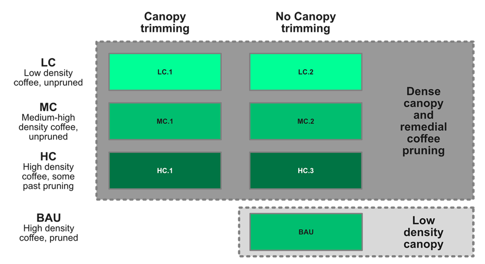 Schematic diagram of the Forest Platform experimental plots