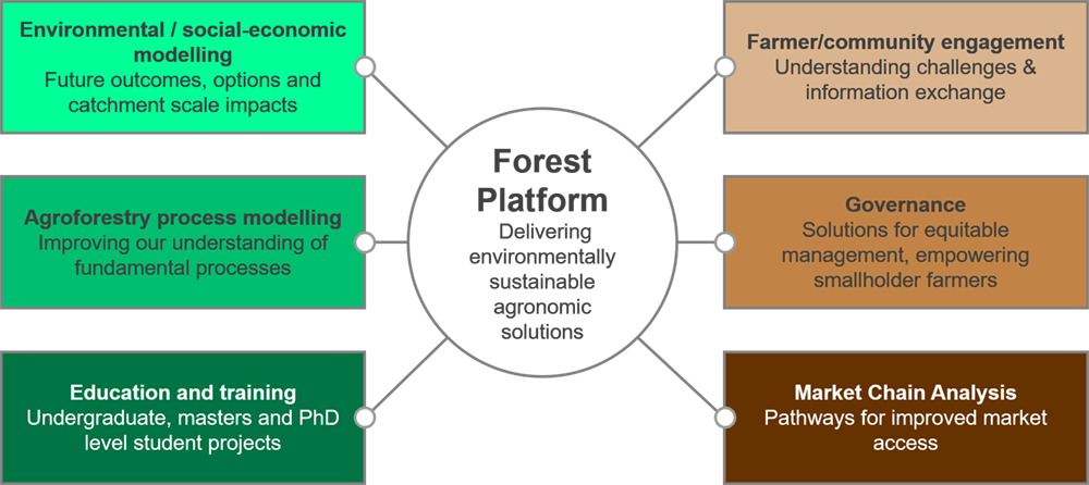 Overview of the project's structure