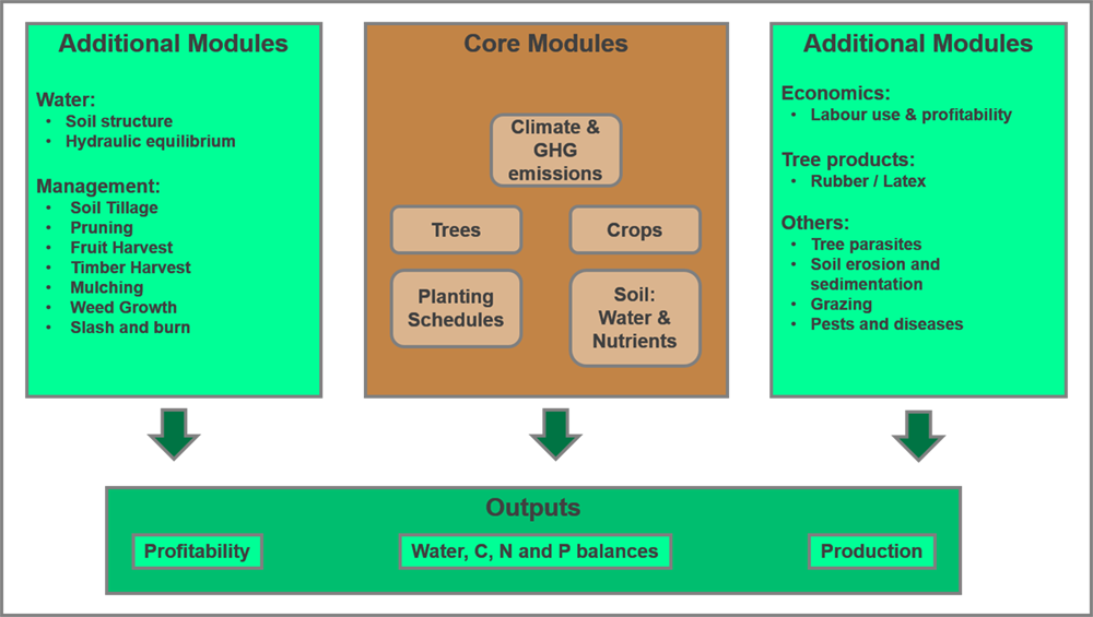 Structure of the WalNuLCAS agrofores processes model