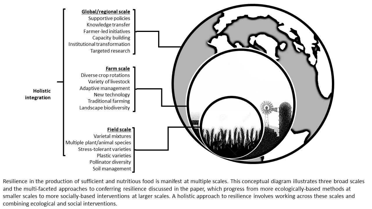 Work package 4 diagram