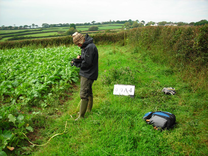 Countryside Field Survey