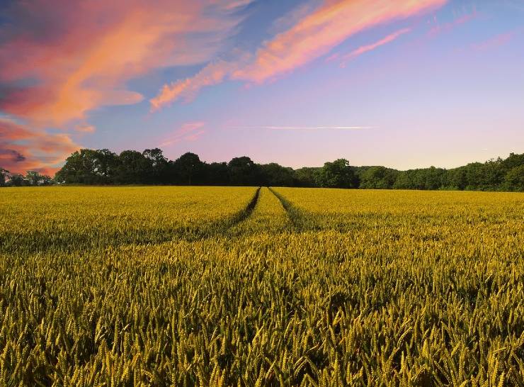 Countryside Photo: Pete Linforth from Pixabay