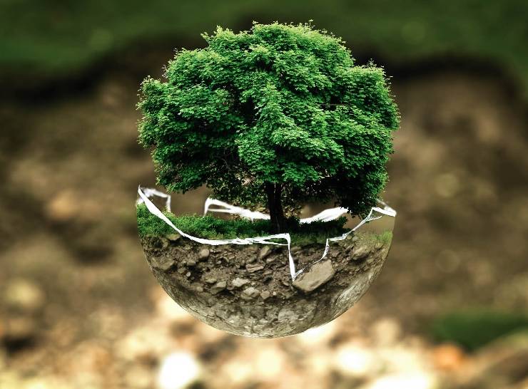 Environmental protection. Photo: Bela Geletneky from Pixabay