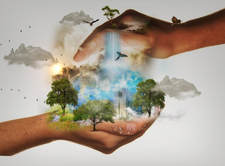 Nature conservation. Image by Mystic Art Design from Pixabay
