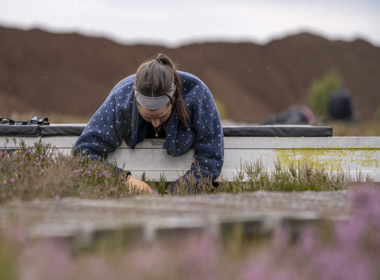 Plant survey