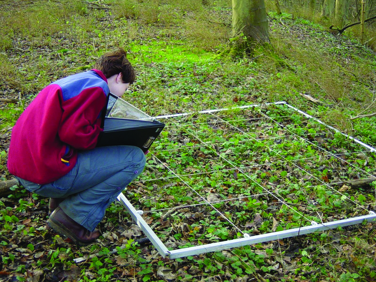 Fieldwork Field work