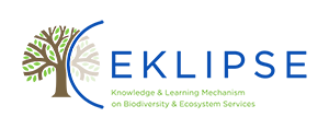 Logo for EKLIPSE project