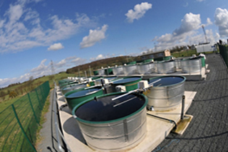 The experimental aquatic mesocosm facility at UKCEH