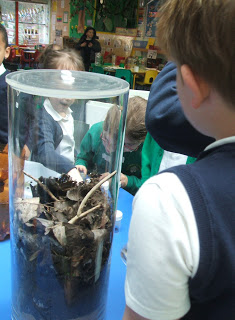 Pupils inspecting a decomposer community mesocosm, and realising how awesome woodlice are! Pupils inspecting a decomposer community mesocosm, and realising how awesome woodlice are!