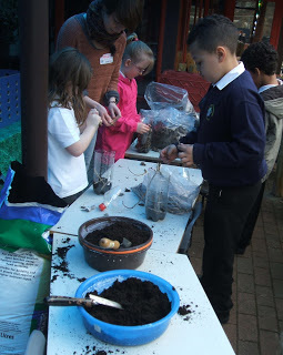 Pupils create their very own decomposer mesocosm, with a little help from Helen Hicks. Pupils create their very own decomposer mesocosm, with a little help from Helen Hicks.