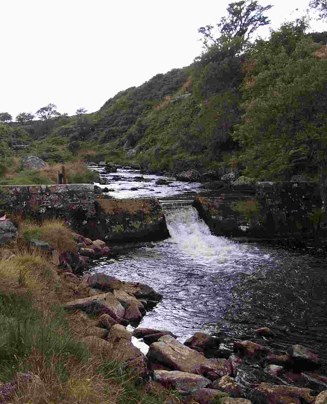 River River