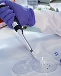 Health and Safety Working in a scientific laboratory