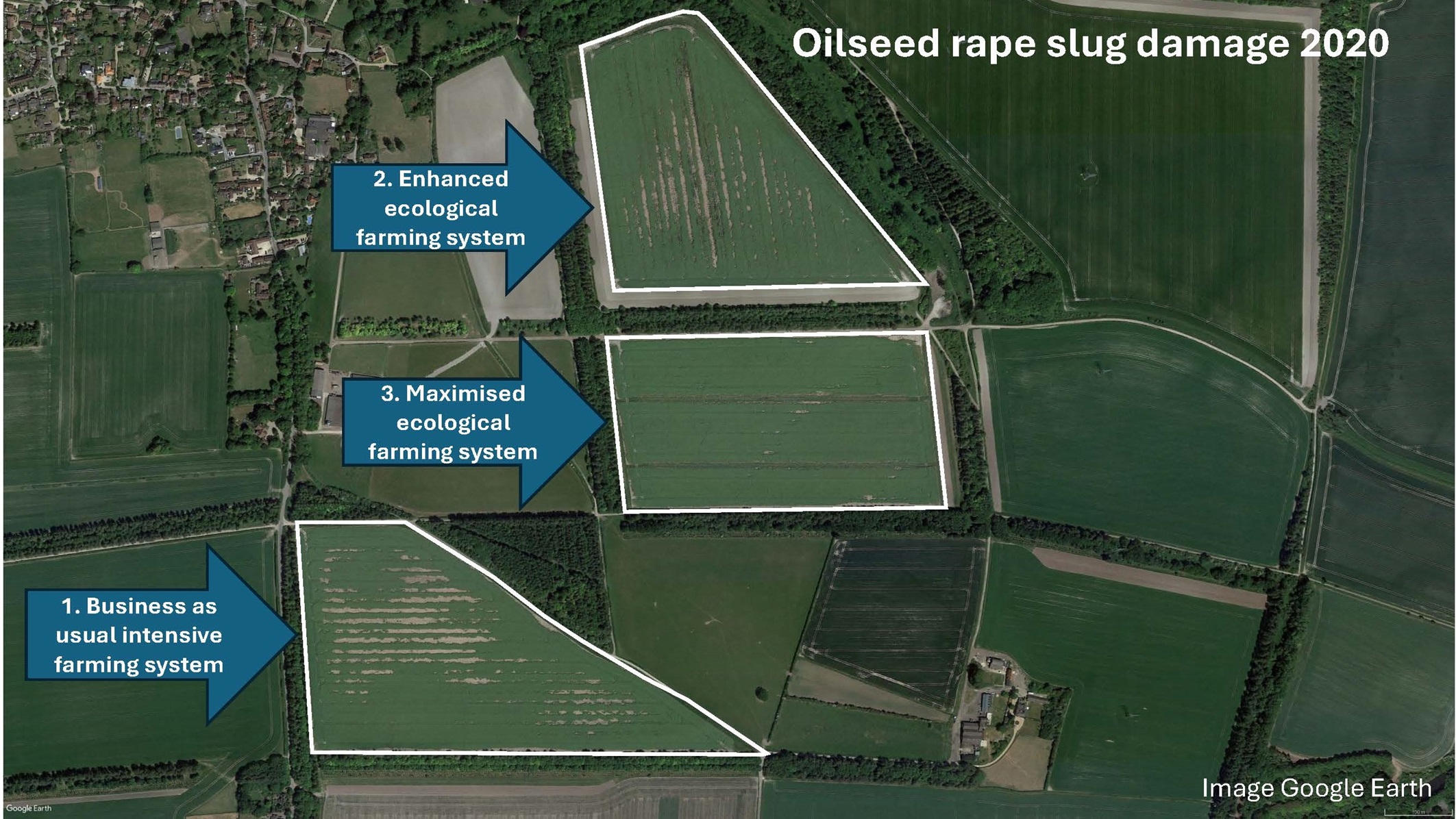 Impact of agroecological trials on pest control in oil seed rape fields.
