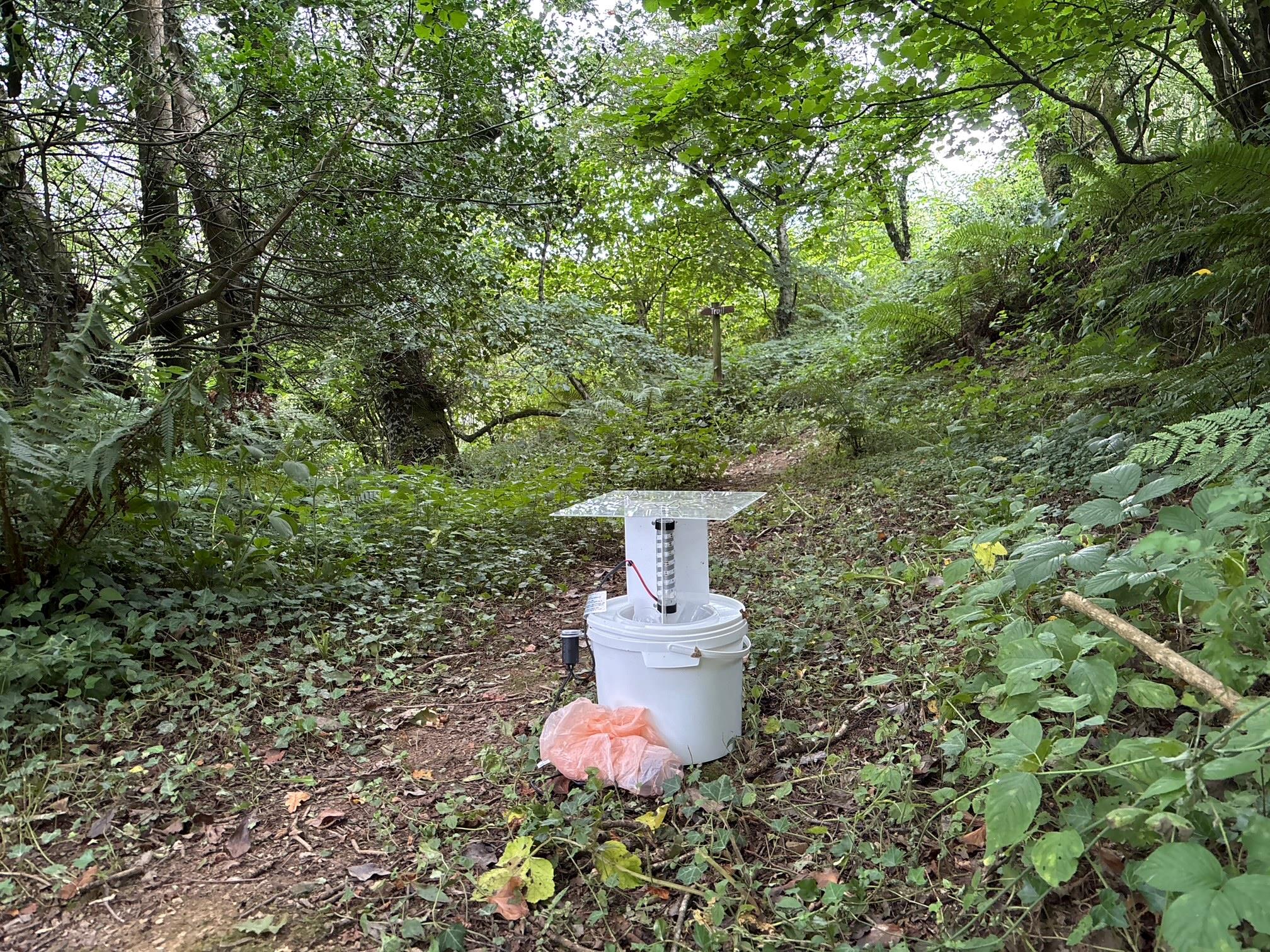 LED moth trap in a woodland