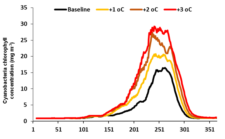 Graphic showing the effect of increasing air temperature on cyanobacteria biomass