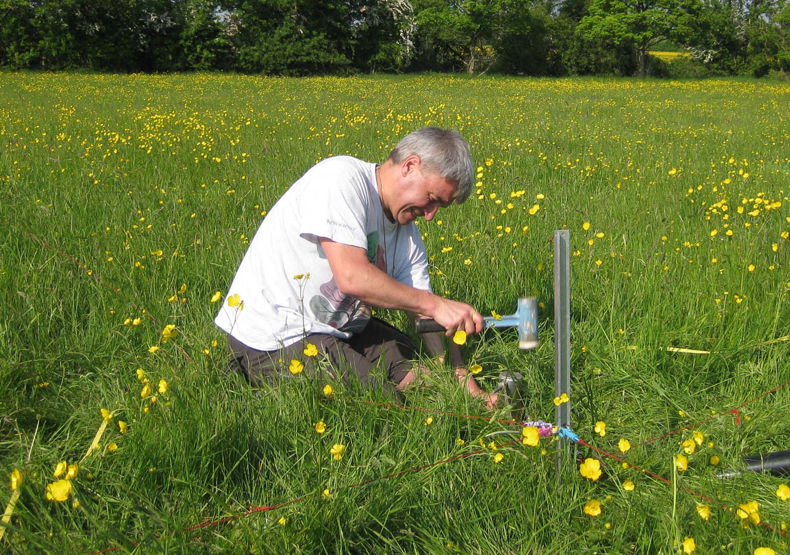 Soil sampling