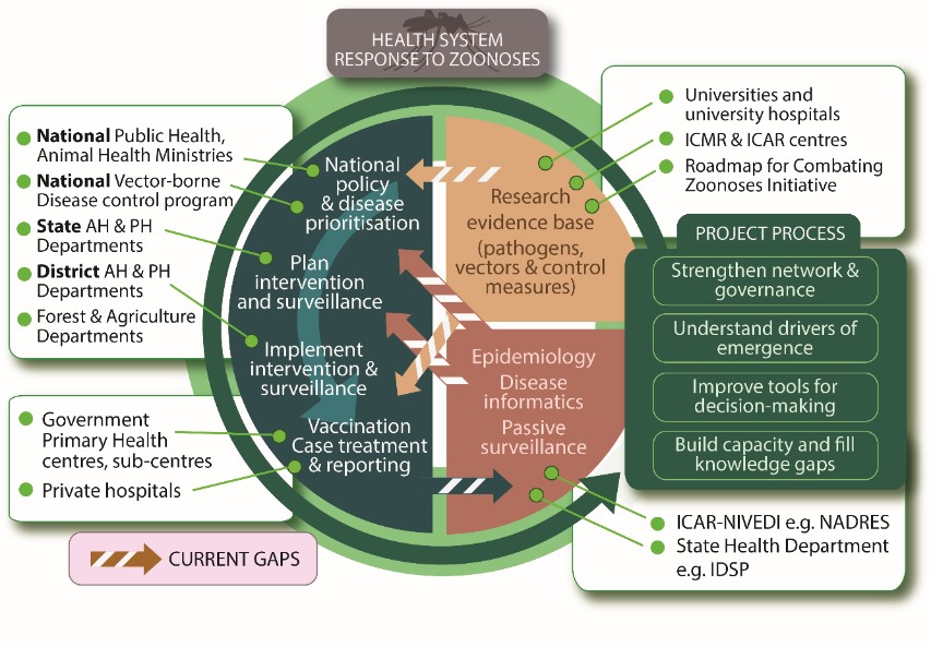 Stakeholders and actors involved in the Health Systems response to zoonotic diseases in India India Health Systems relationships diagram