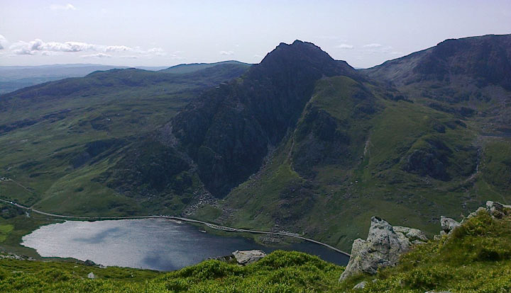 Part of the Snowdonia massif, an area of high terrestrial plant biodiversity.
