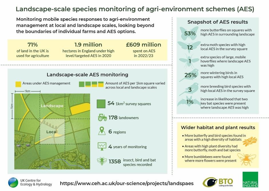 Infographic LandSpAES baseline