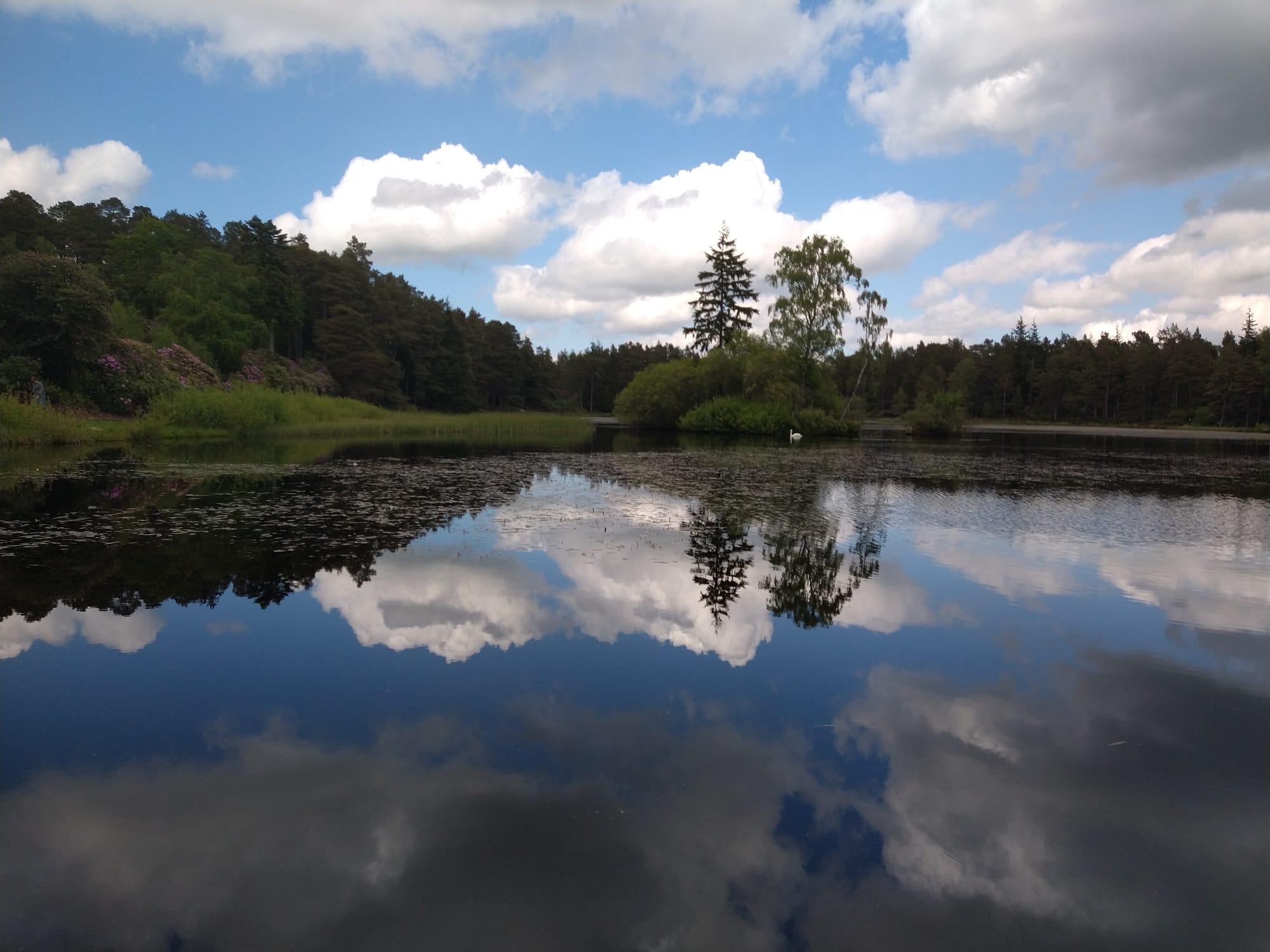 Lake (taken by Ellie Pinches)