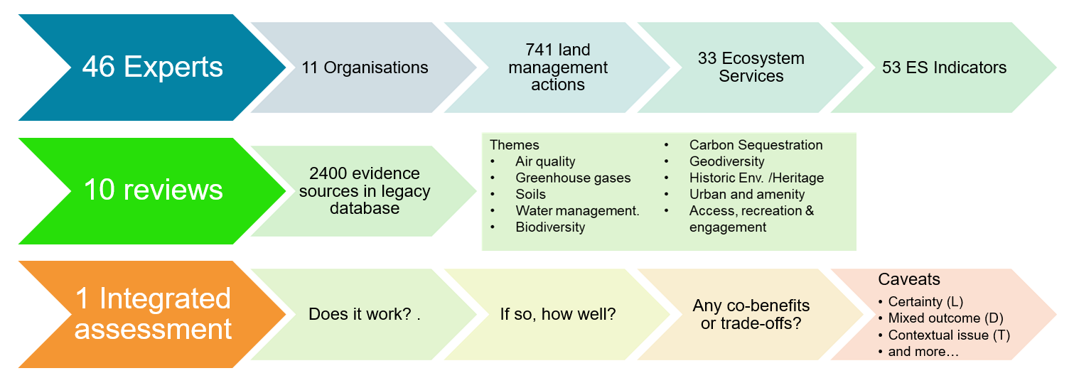 Infographic summary of numbers of review inputs and team activities